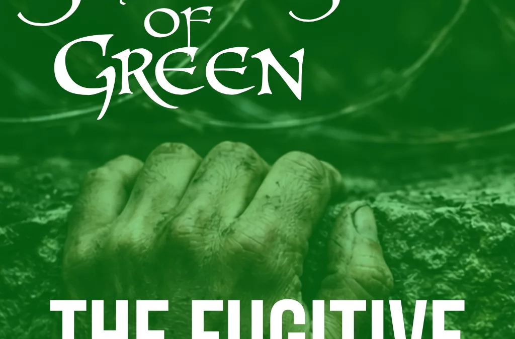 The Fugitive (The Man Don’t Forgive)